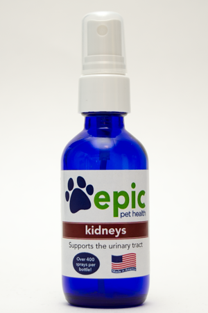 Kidney All Natural Pet Supplement Supports Kidney and Bladder Function. Alleviates constant urination. Also increases energy in older pets. Simply spray on body, food & water. Made in USA.