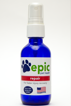Repair All Natural Pet Supplement helps resolve chronic and difficult health problems related to injuries, illnesses, inflammation and hot spots. Provides immune system support & eases pain.  Many cat owners use this supplement for rodent ulcer and other skin issues. Easy to use spray on body, food & water. Made in USA