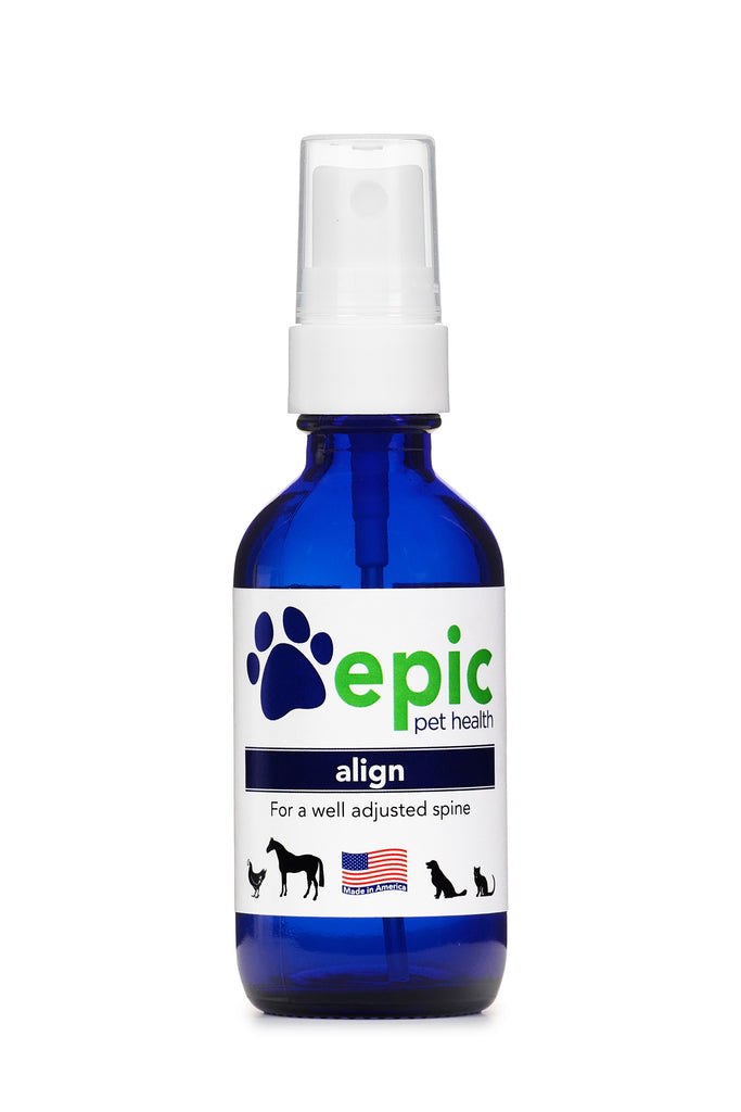 Align – für eine gute Ausrichtung von Wirbelsäule und Muskeln. Anwendung bei der Genesung nach Verletzungen oder chronischen Gesundheitsproblemen.