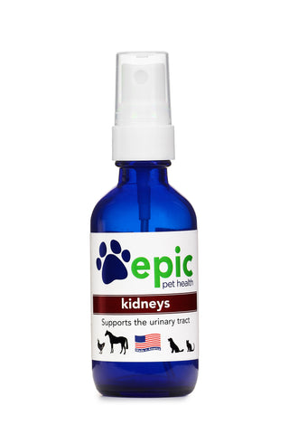 Kidney - supports kidney and bladder function in sick or healthy pets and alleviates constant urination problems