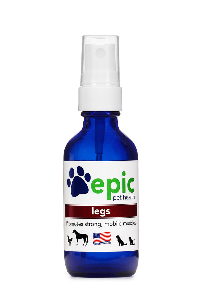 Legs - promotes strong muscles and joints in aging or sick pets