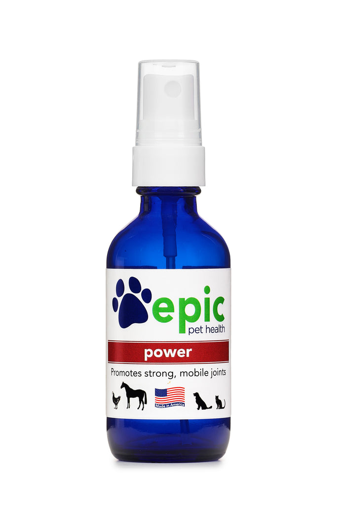 Power - promotes strong hips and joints