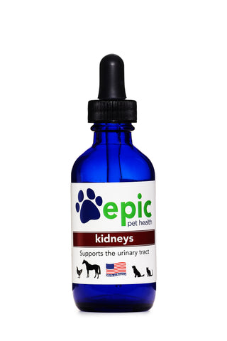 Kidney - supports kidney and bladder function in sick or healthy pets and alleviates constant urination problems